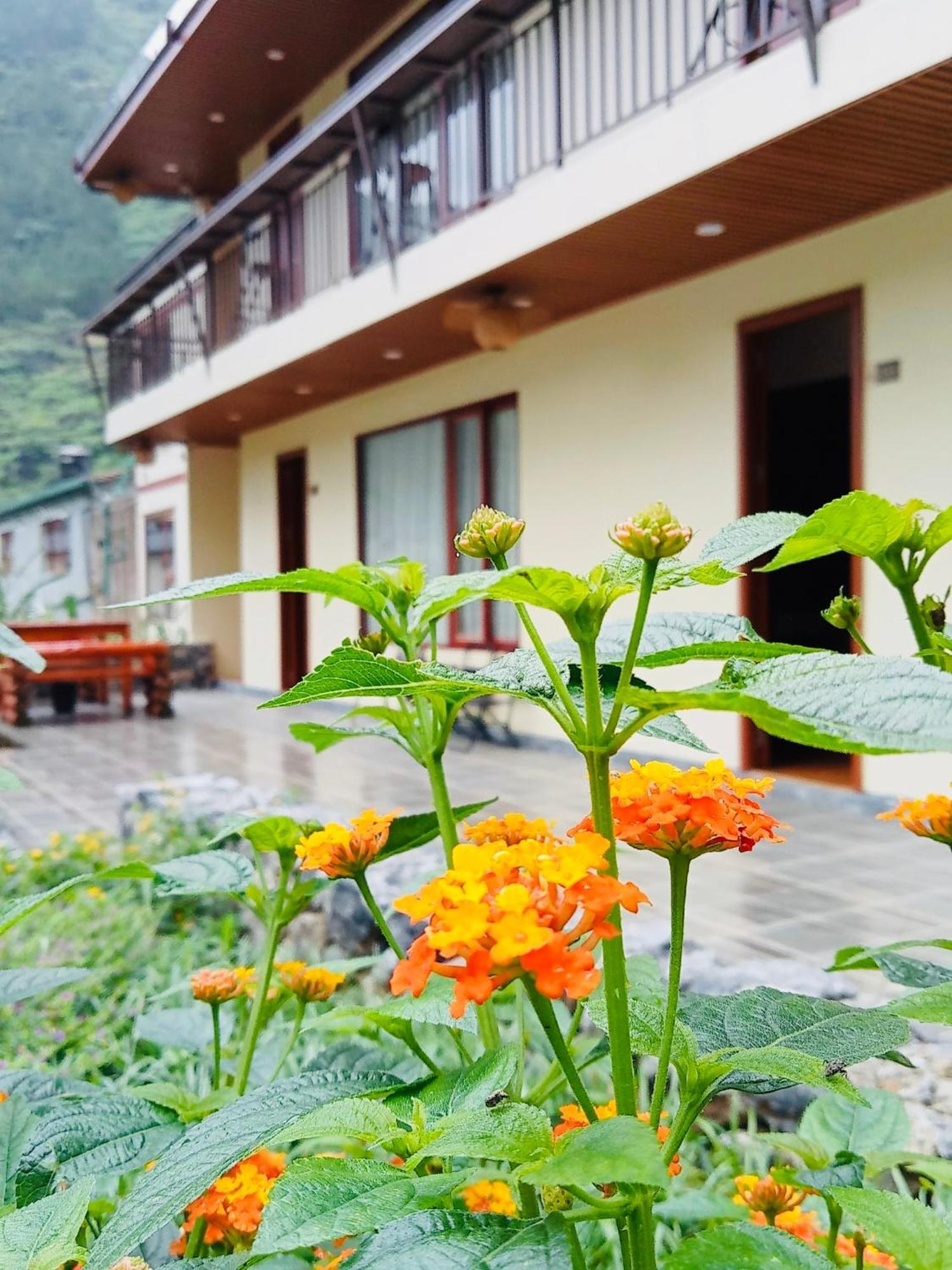 Ferienwohnung Meo Vac Beehive House Exterior foto